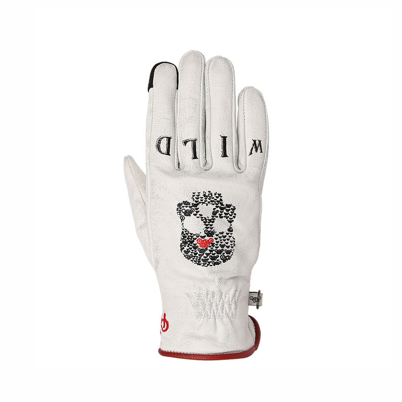 Daisy on the Ohoopee